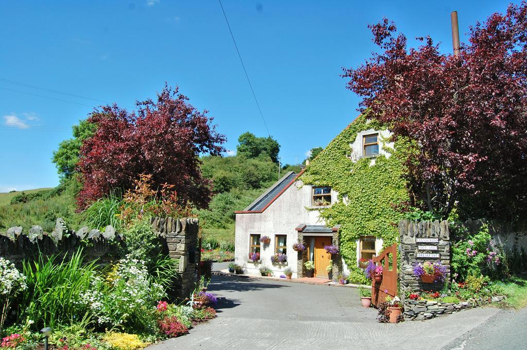 Tinnycross House B&B Ballymore Eustace Exterior photo