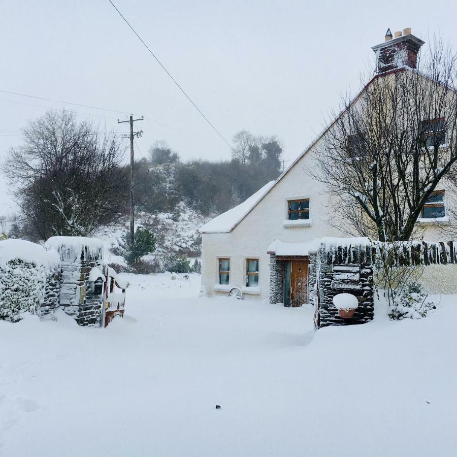 Tinnycross House B&B Ballymore Eustace Exterior photo